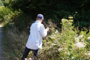 Bioblitz juli 2026