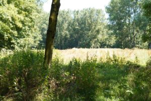 Bioblitz juli 2026